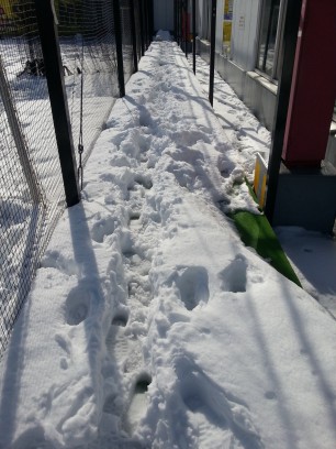 20140209_143209